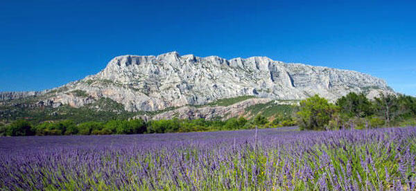 Tradibois Charpentes en Provence